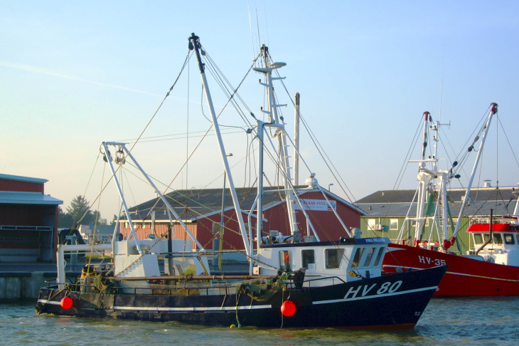 Bild eines Fischkutters im Hafen ablegend